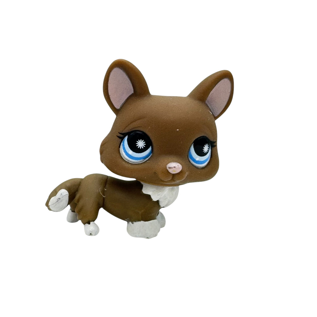 LPS koira corgi #949