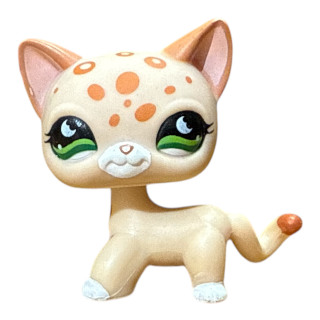 LPS seisova kissa #852