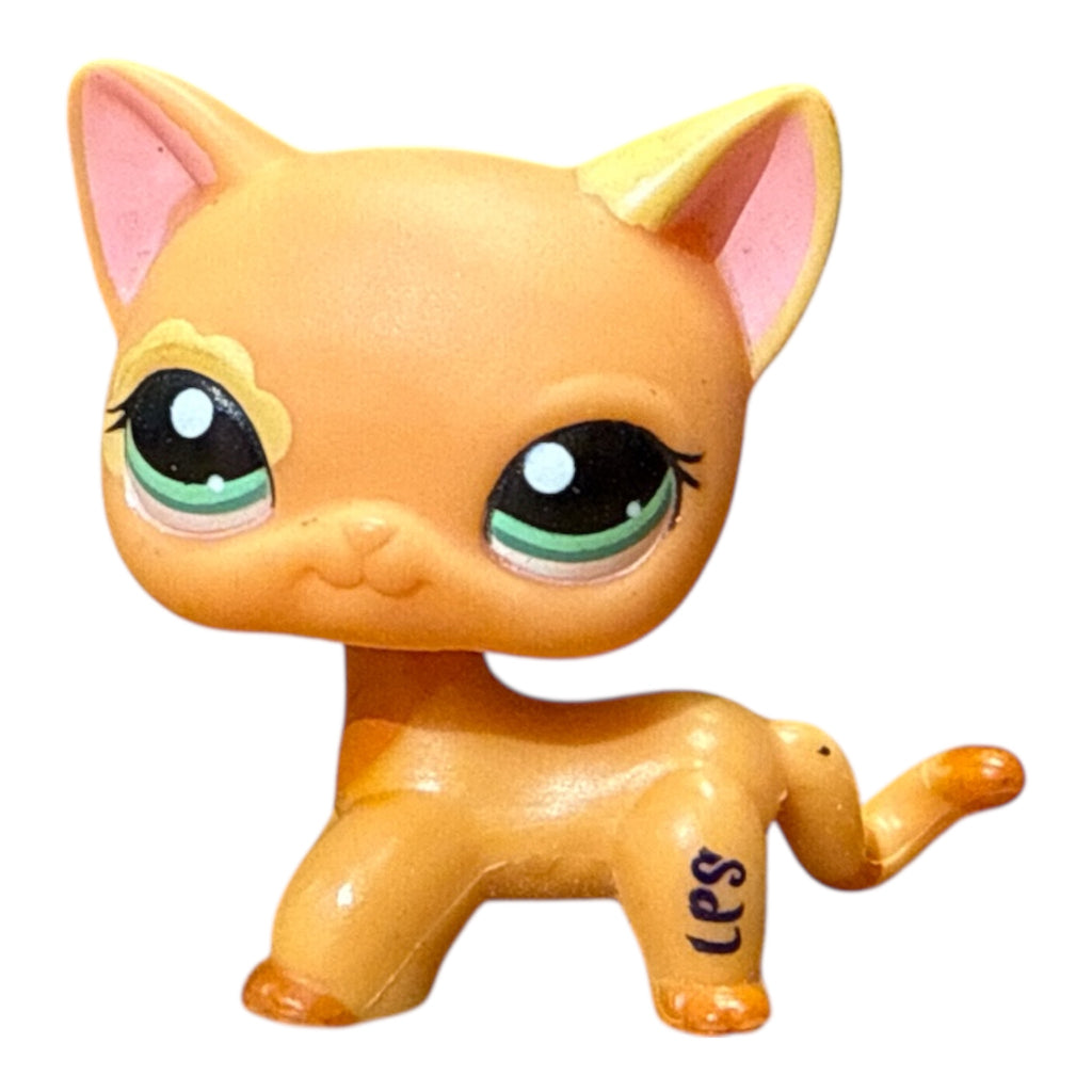 LPS seisova kissa #1643