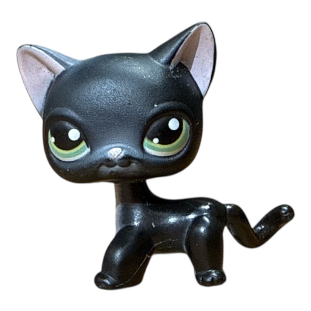 LPS seisova kissa #336