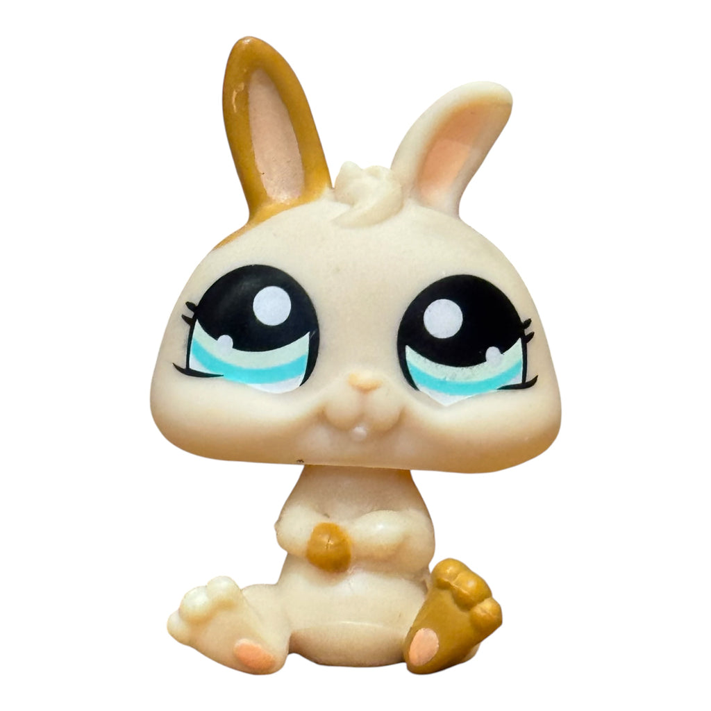 LPS pupu #1372