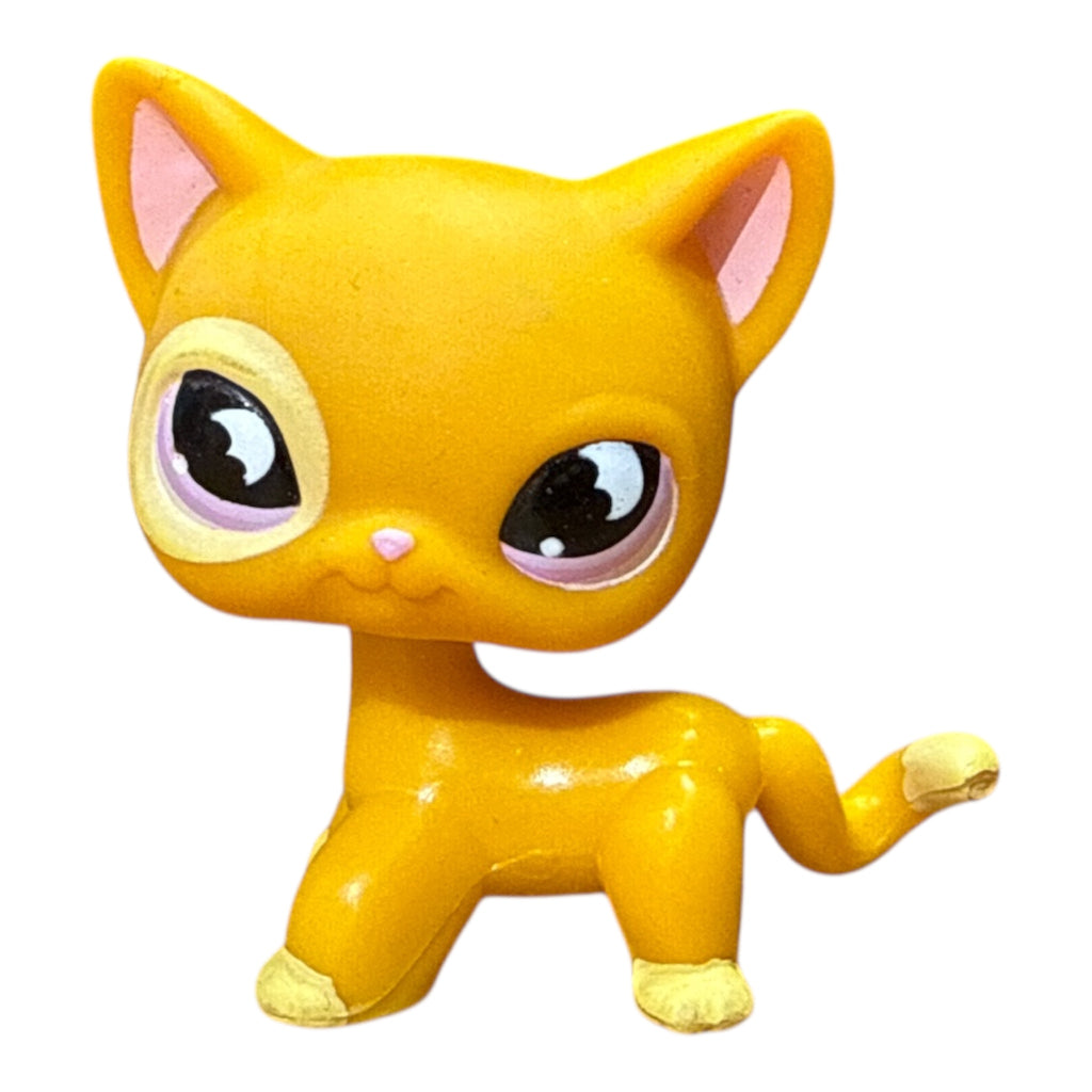 LPS seisova kissa #855