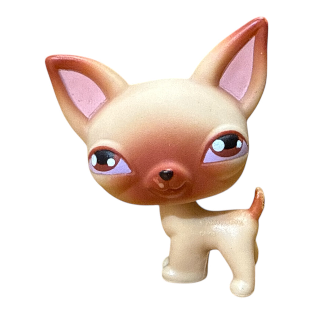 LPS koira chihuahua #001