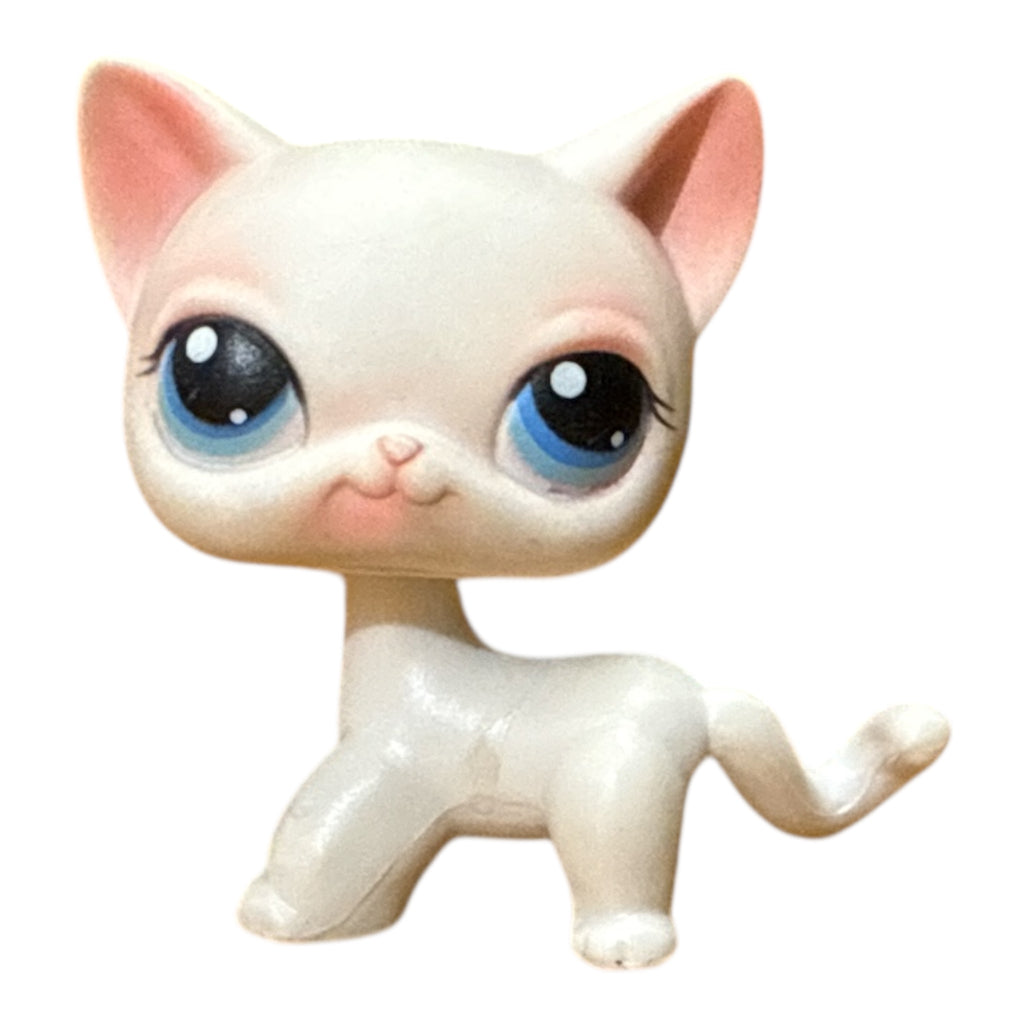 LPS seisova kissa #064