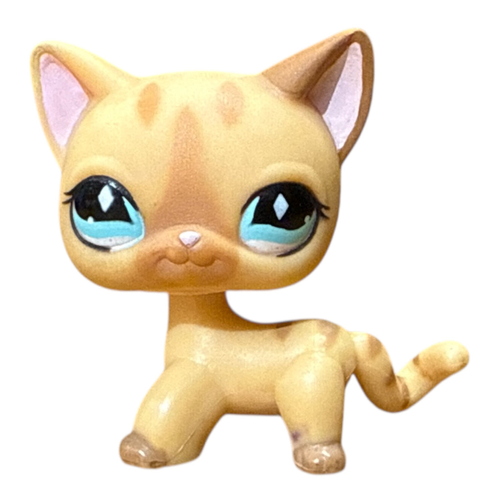 LPS seisova kissa #886