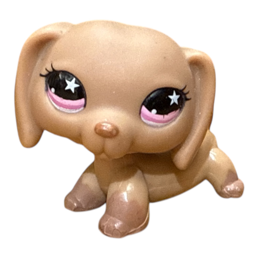 LPS mäyräkoira #932