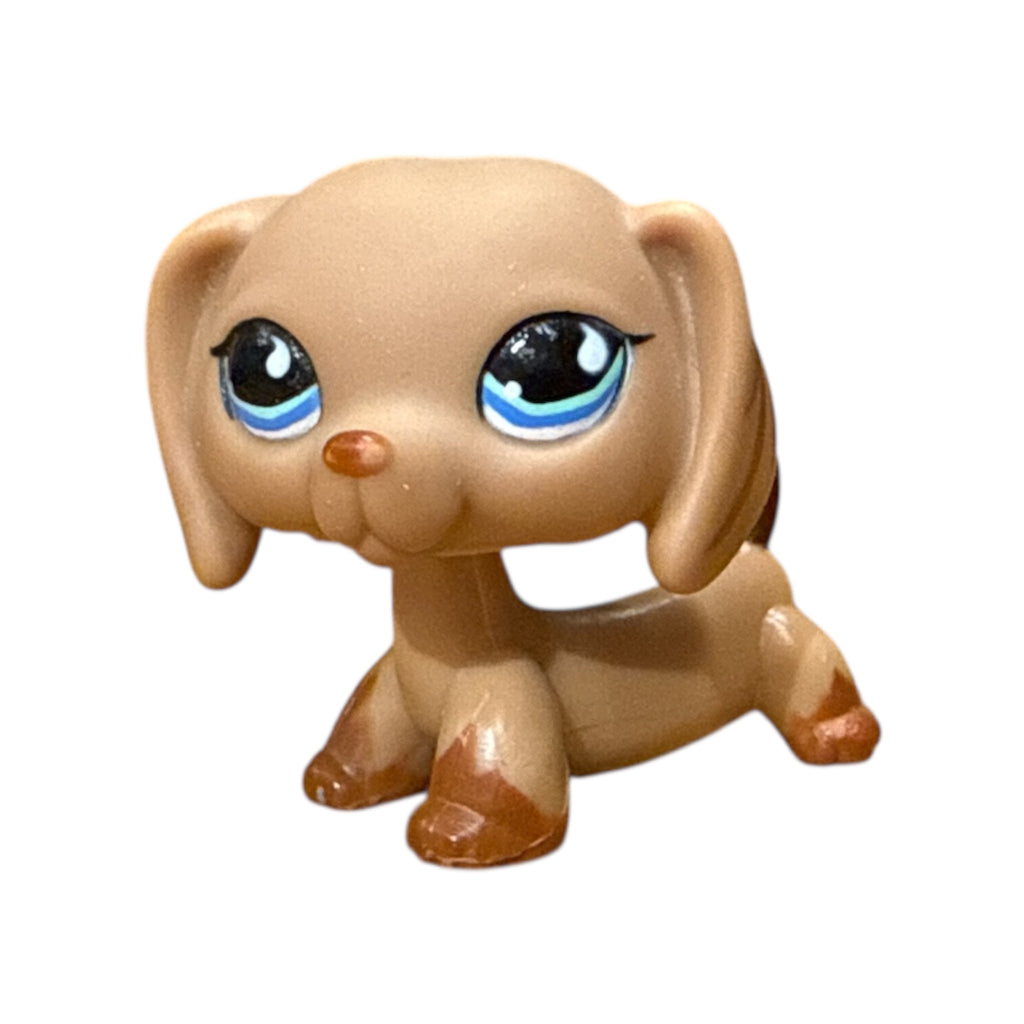 LPS mäyräkoira #518