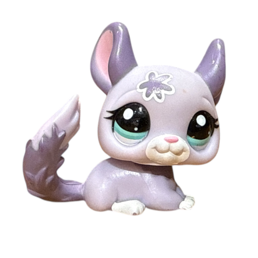 LPS chincilla #2135