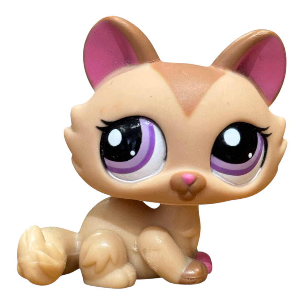 LPS kissa pentu #1584