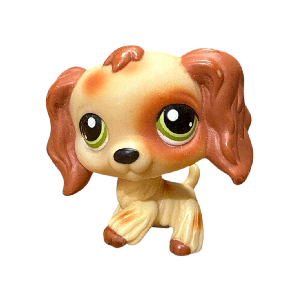 LPS cockerspanieli no# Puzzle