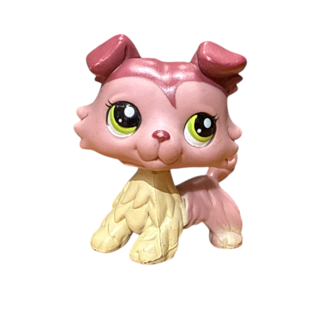 LPS collie #1723