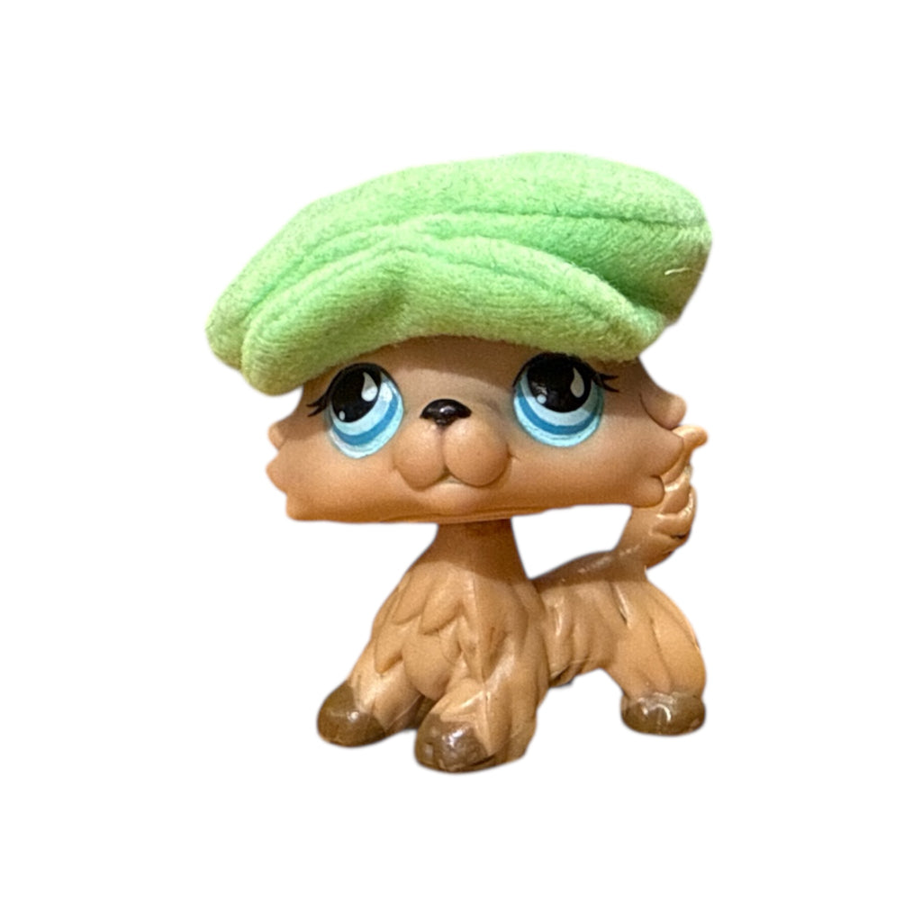 LPS collie #893
