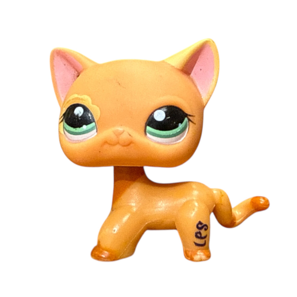 LPS seisova kissa #1643