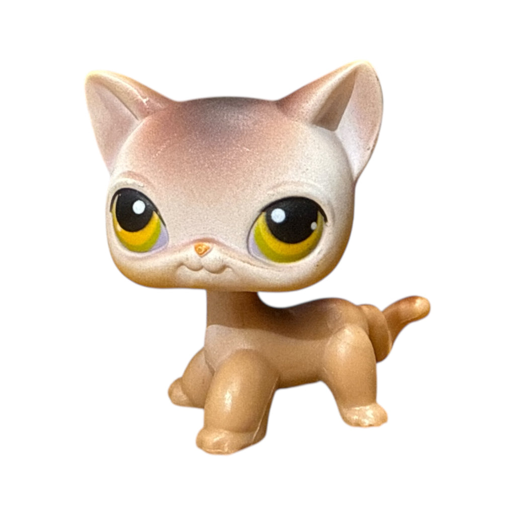 LPS seisova kissa #019