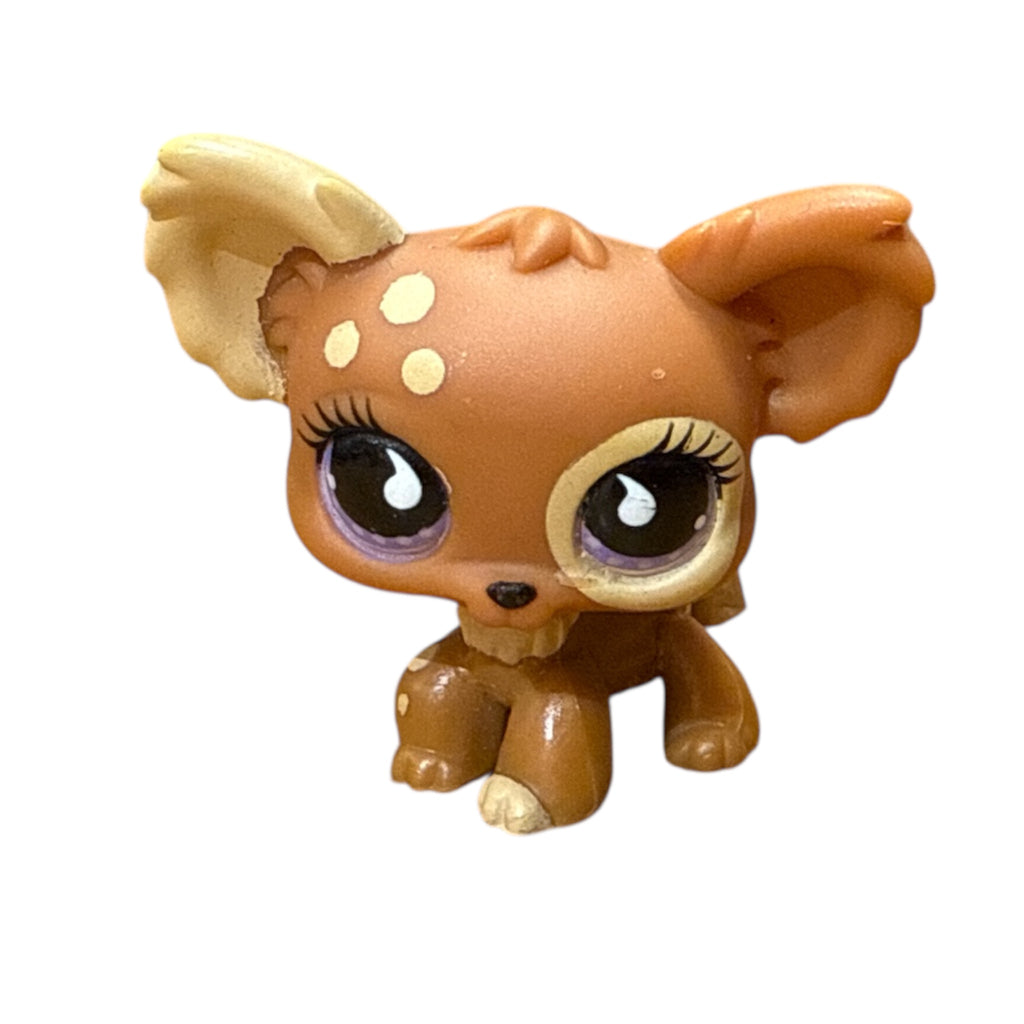 LPS chihuahua #963