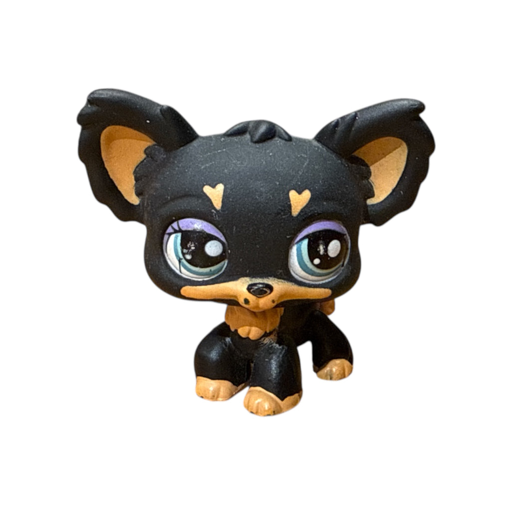 LPS chihuahua #1571
