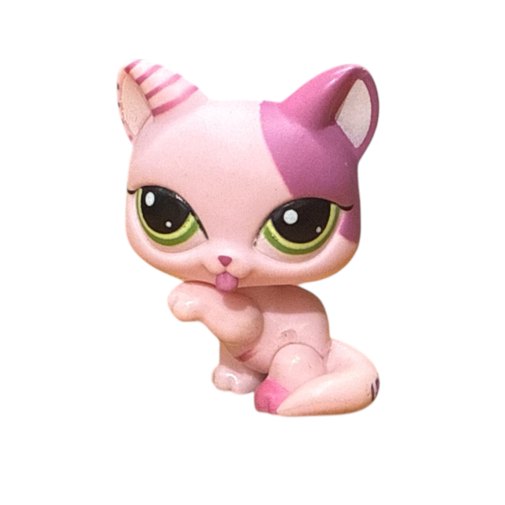 LPS tassua nuoleva kissa #1856