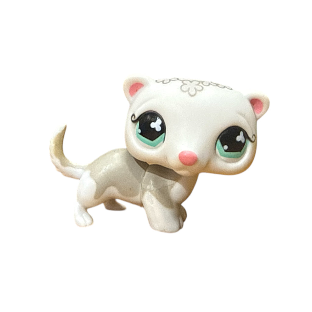 LPS fretti #579