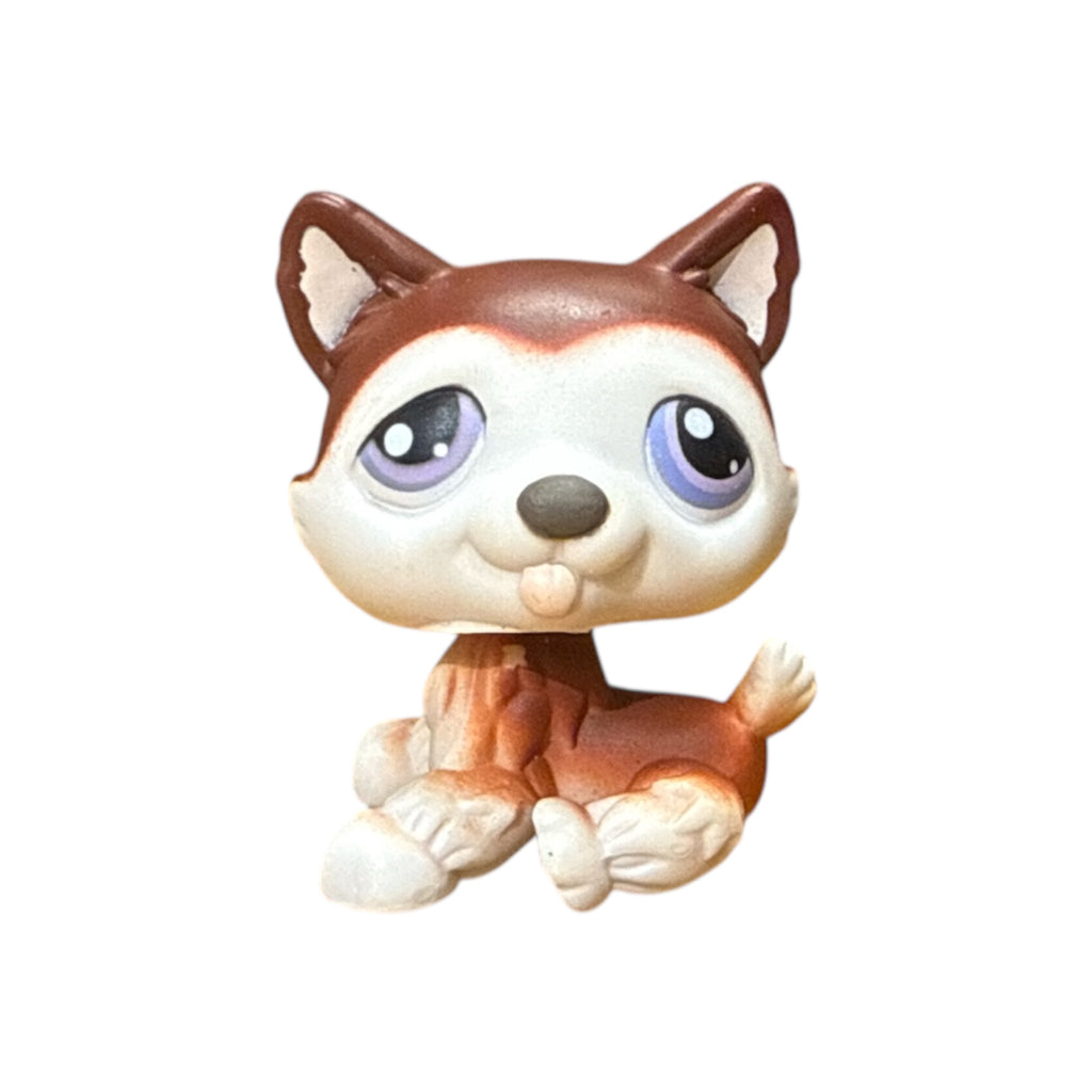 LPS koira husky #427