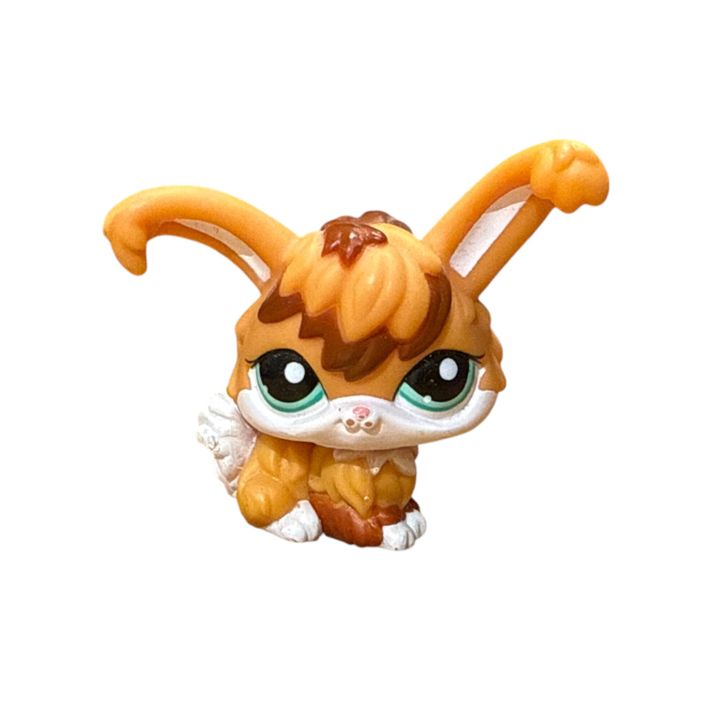 LPS angora pupu #2461