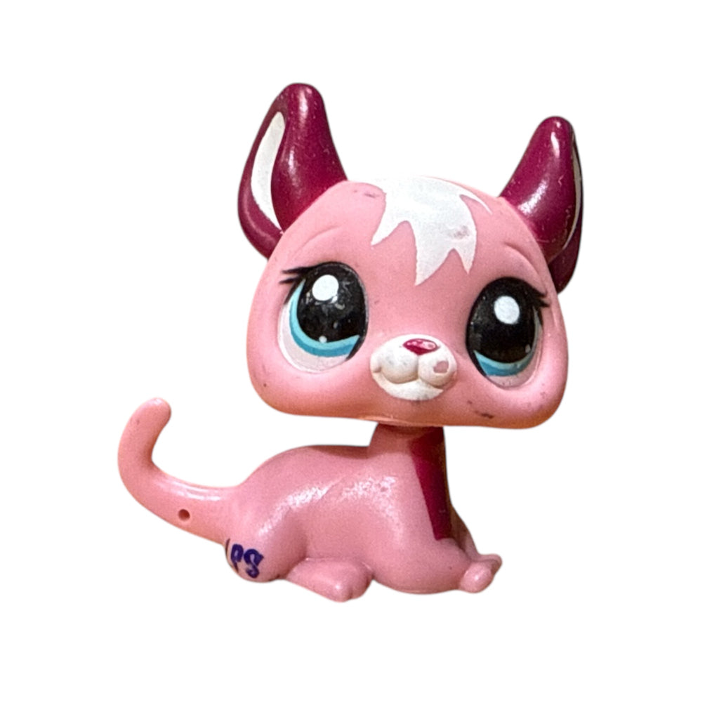 LPS Mystery Chincilla RARE