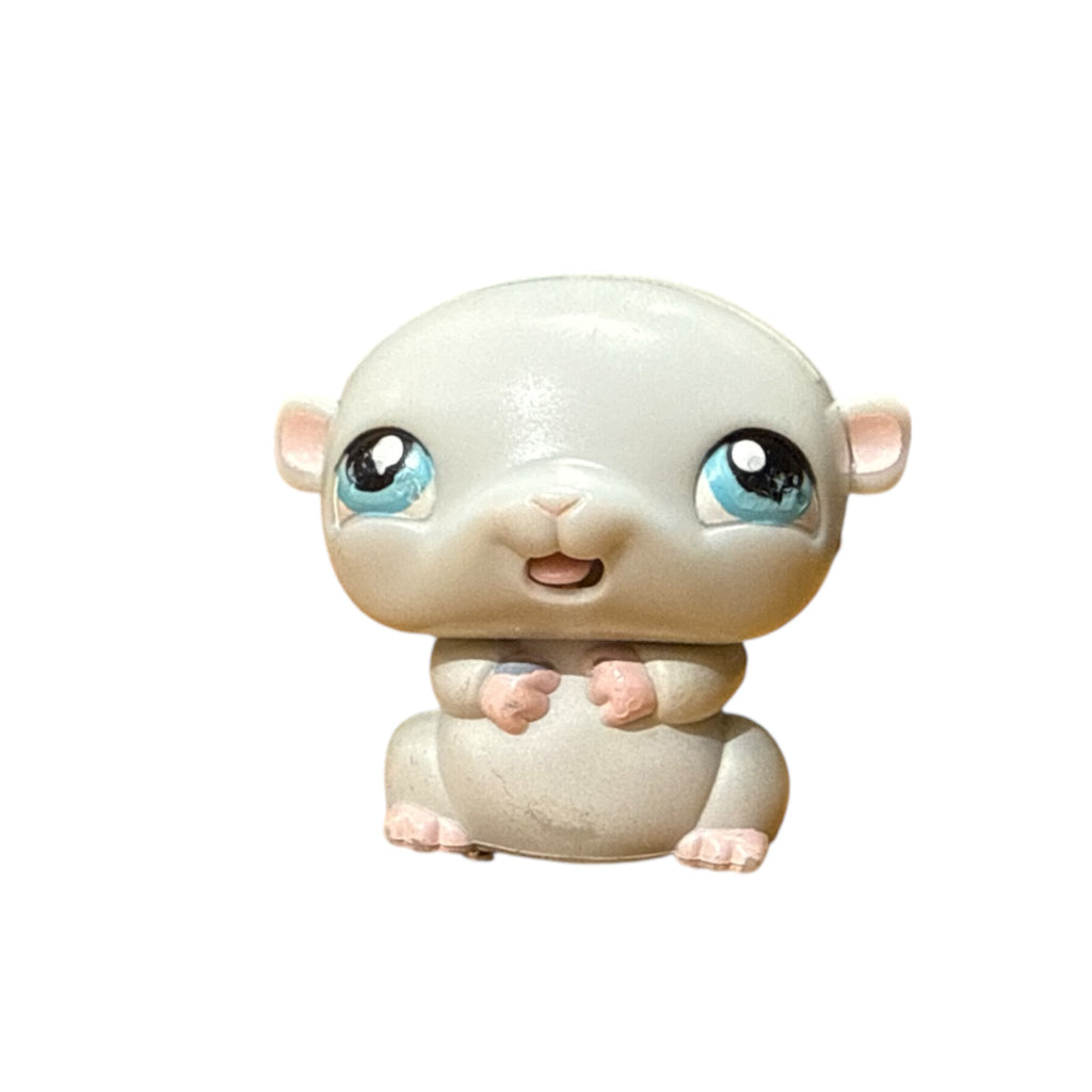 LPS persialainen hamsteri #MM7