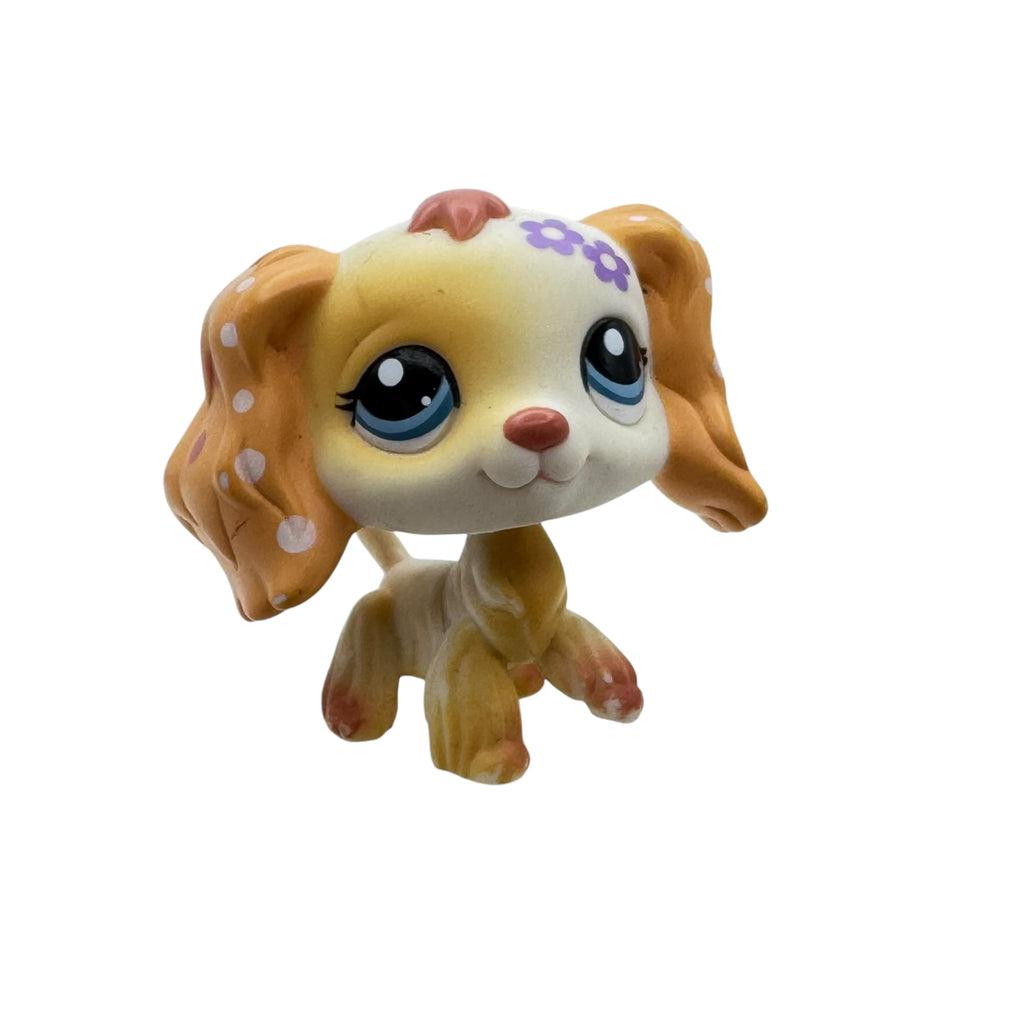 LPS cockerspanieli #1615