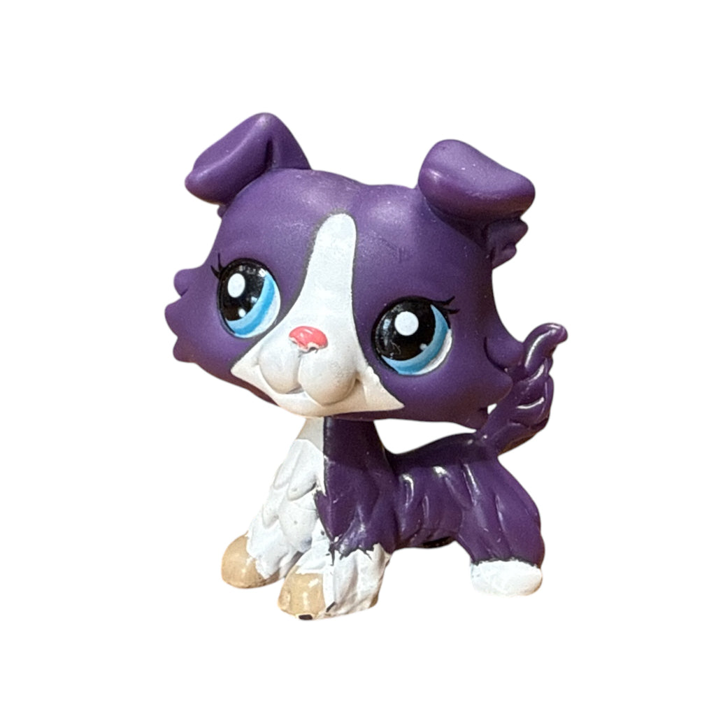 LPS collie #1676
