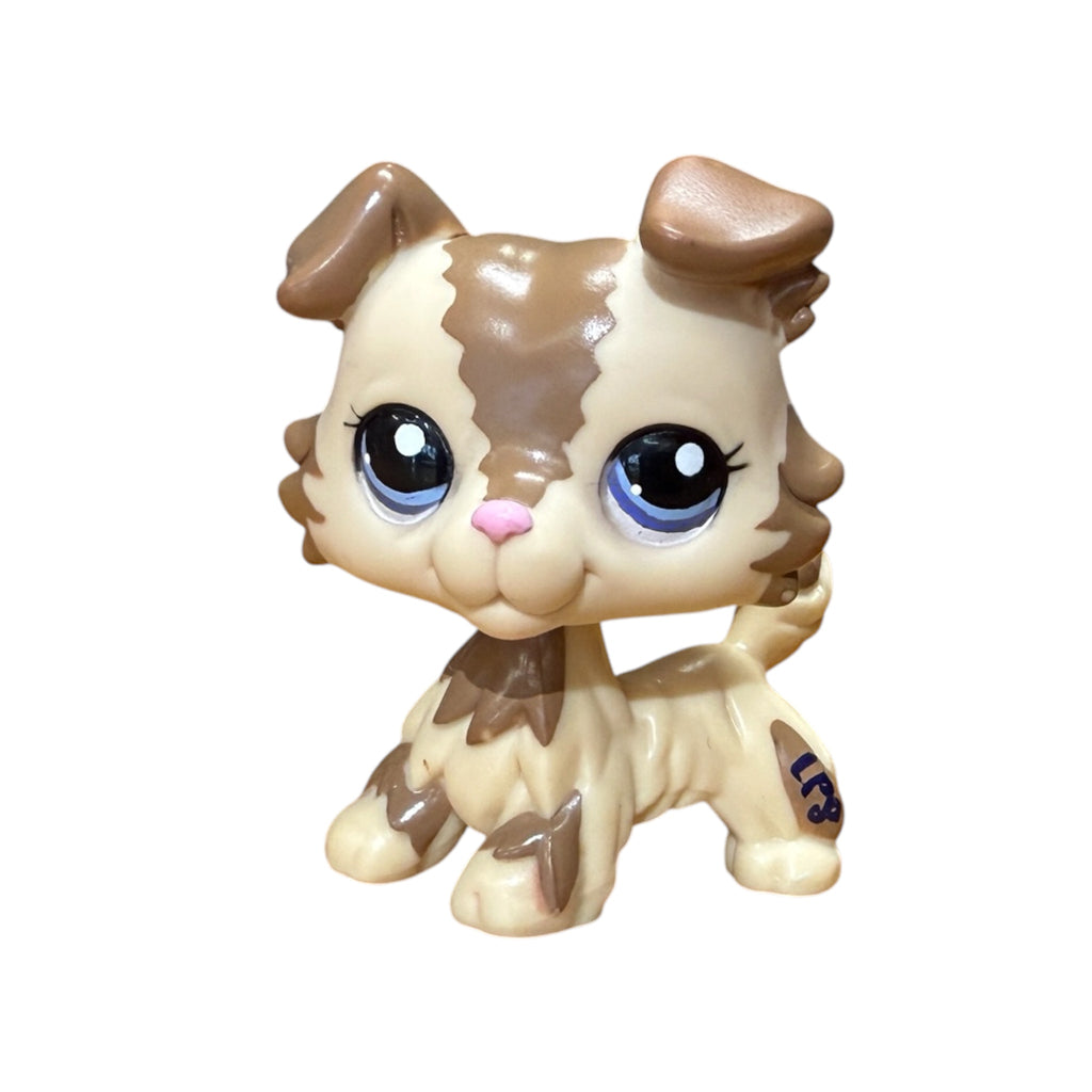 LPS collie #2210