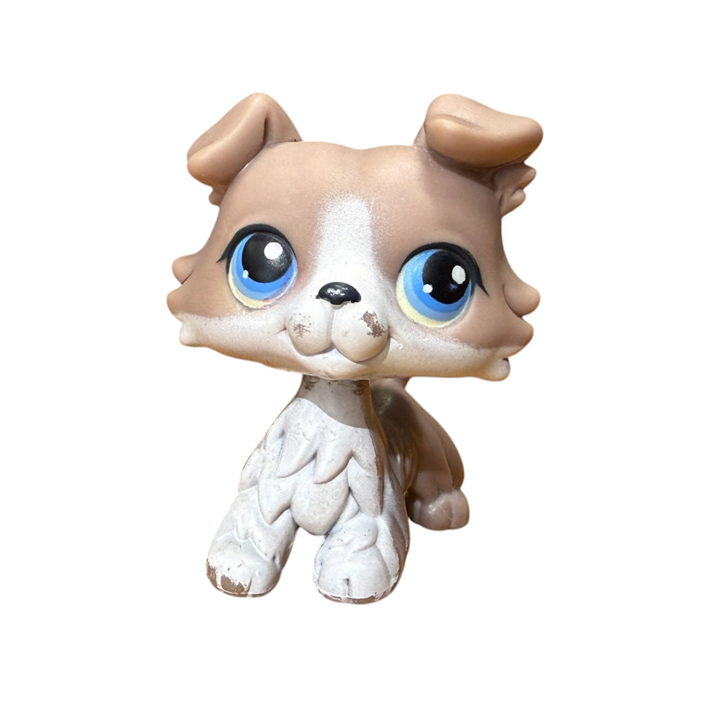 LPS collie #067 punainen magneetti