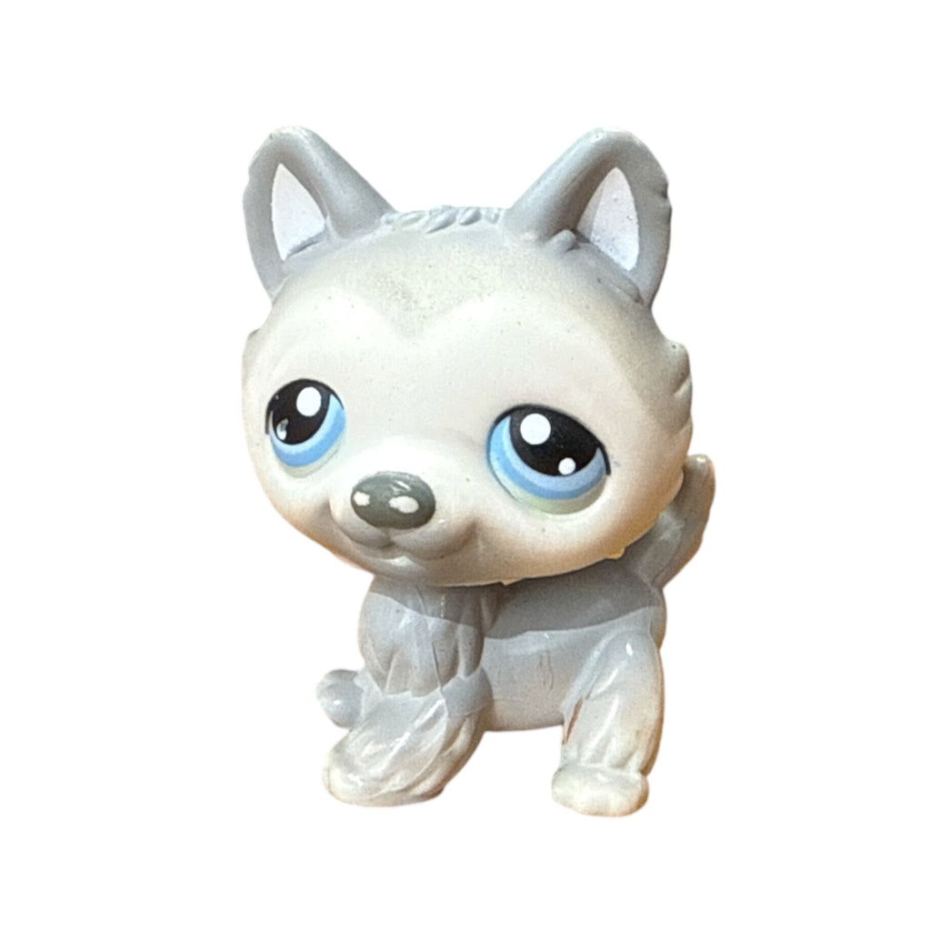 LPS husky #069