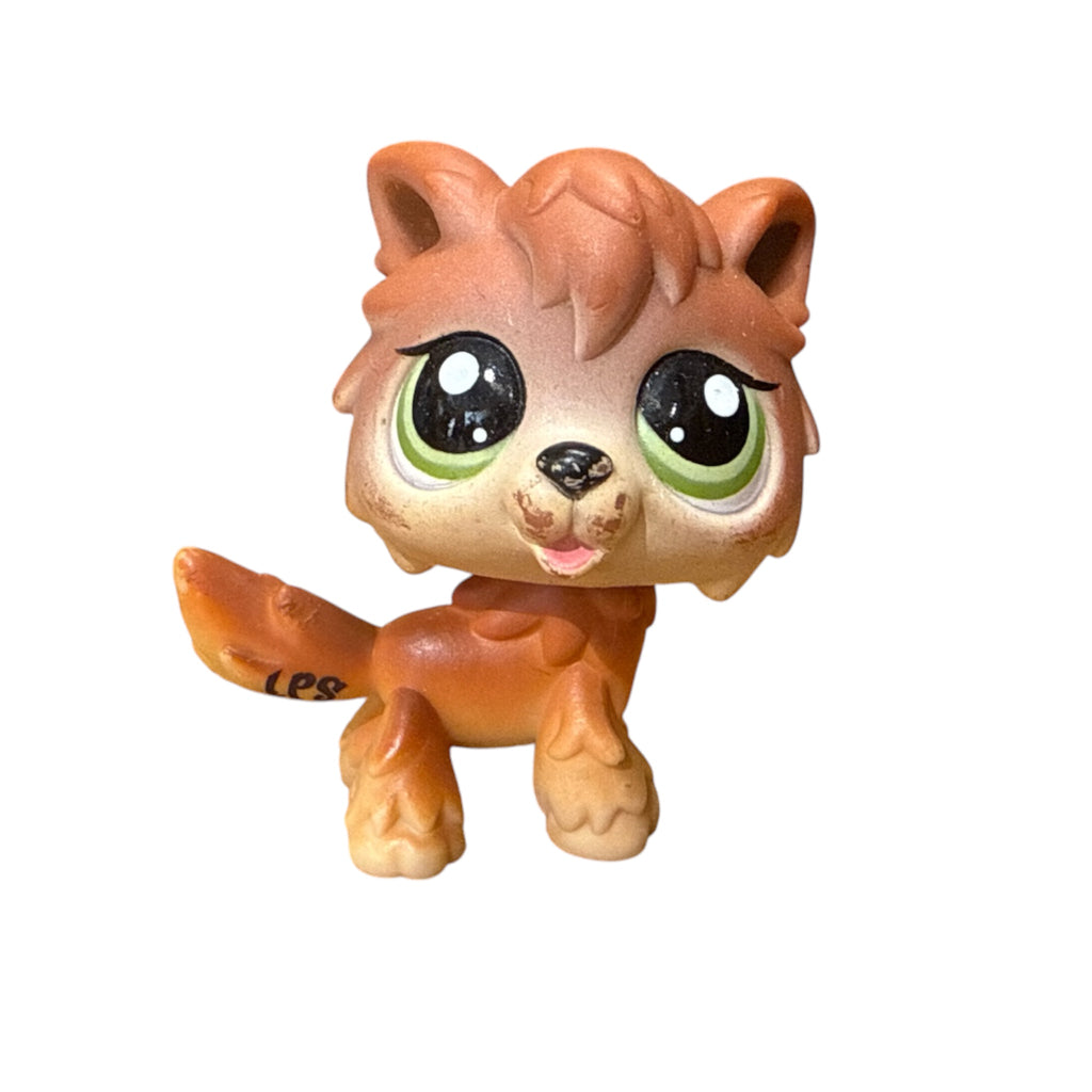 LPS susi #2141