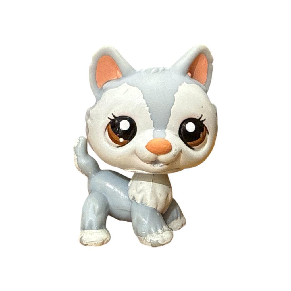 LPS husky #1930