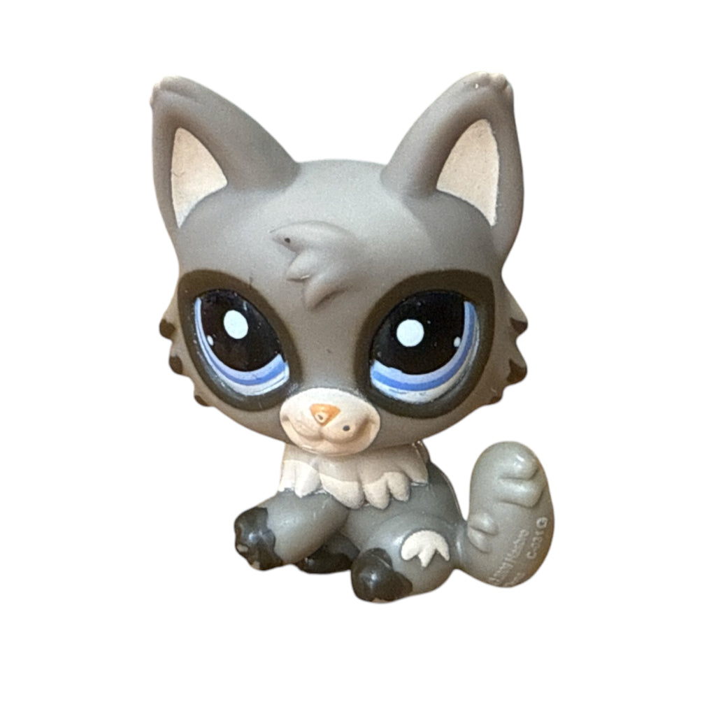 LPS kissa #1953