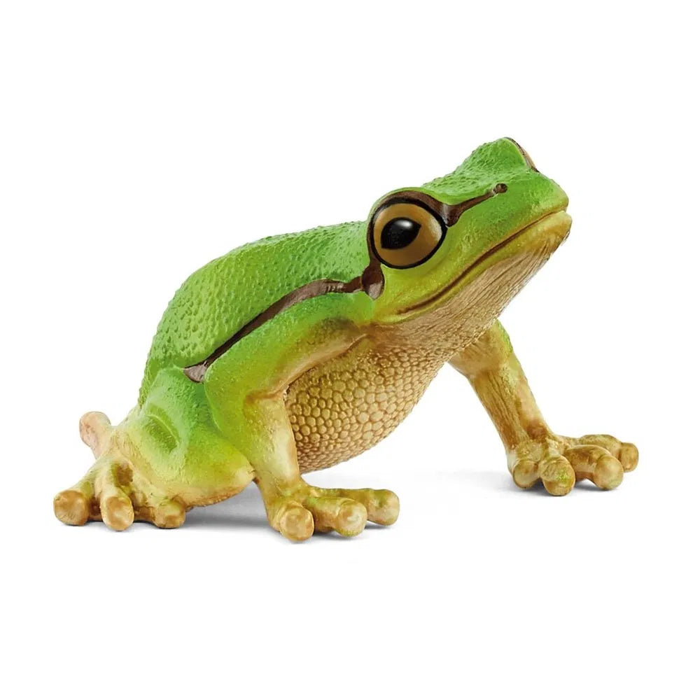 Schleich Wild Life 14882 European Tree Frog sammakko