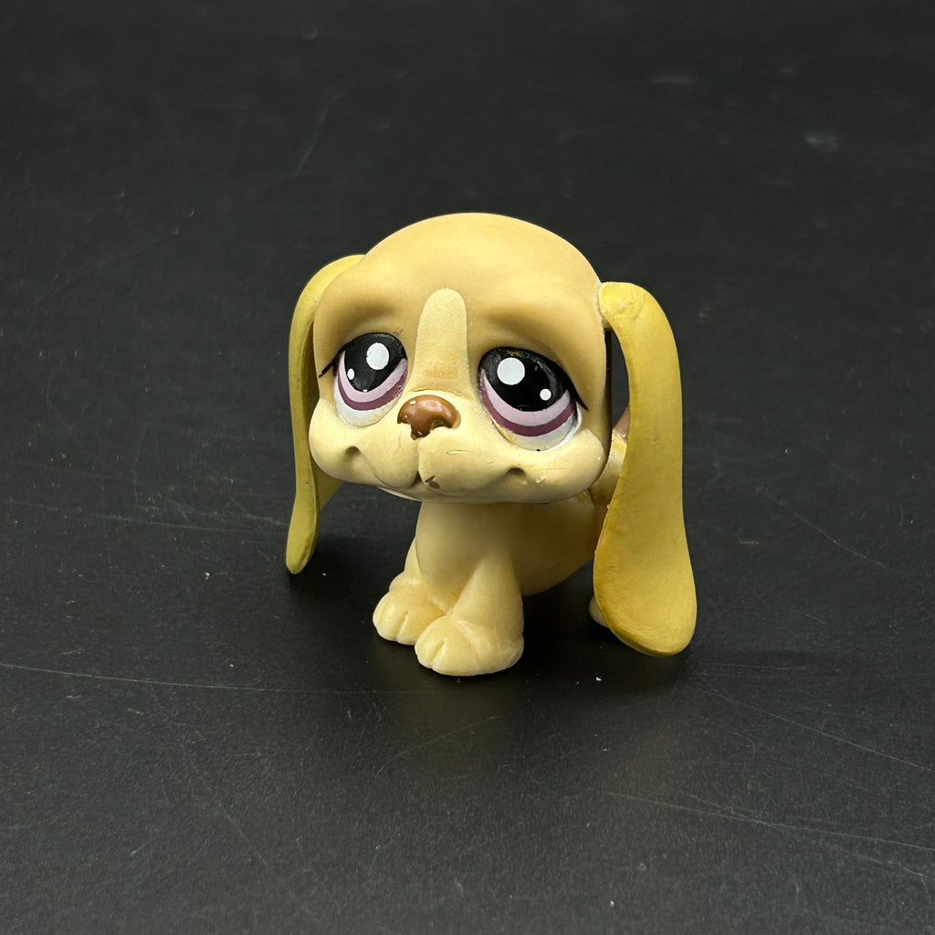 LPS koira basset #1465