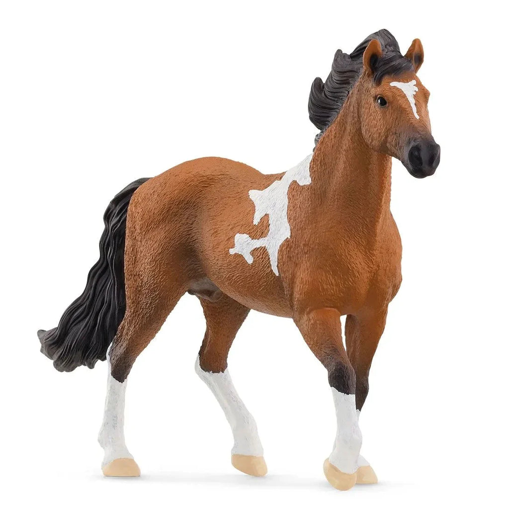 Schleich Horse Club 13978 Mangalarga Marchador hevonen, ori
