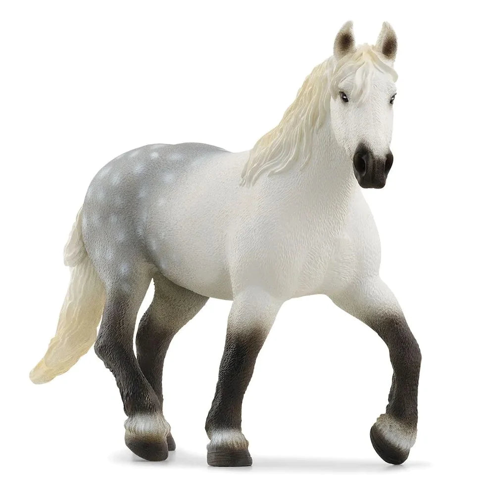 Schleich Horse Club 13971 Percheron Hevonen FLEA LELUKAUPPA schleich-horse-club-13971-percheron-hevonen-flea-lelukauppa