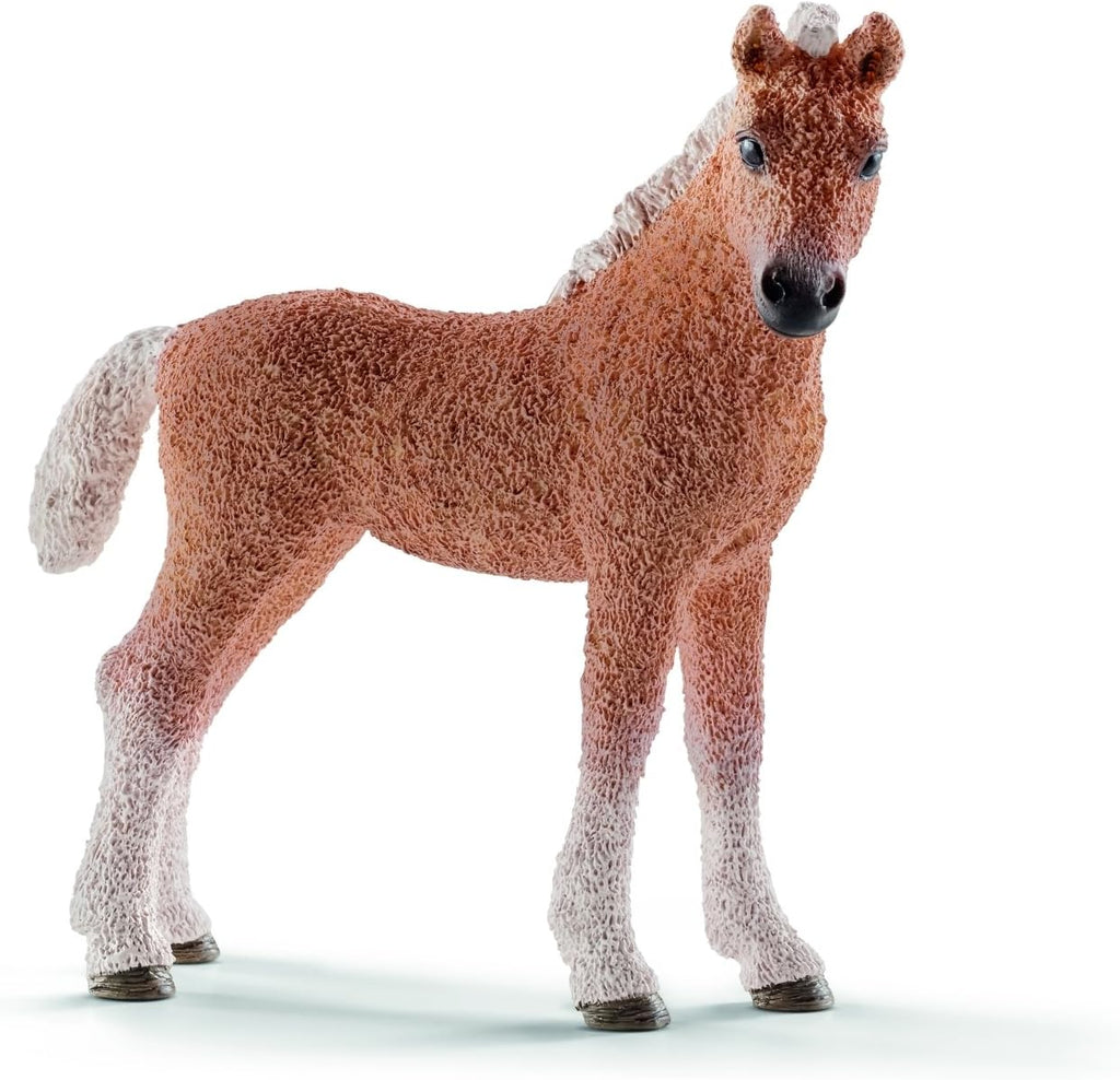 Schleich 13781 Bashkir Curly varsa