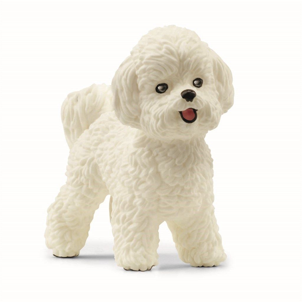 Schleich Farm World 13963 Bichon Frise koira