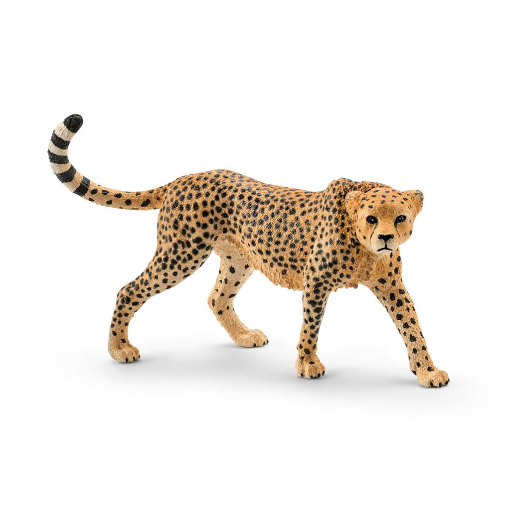 Schleich Wild Life 14746 Naarasgepardi