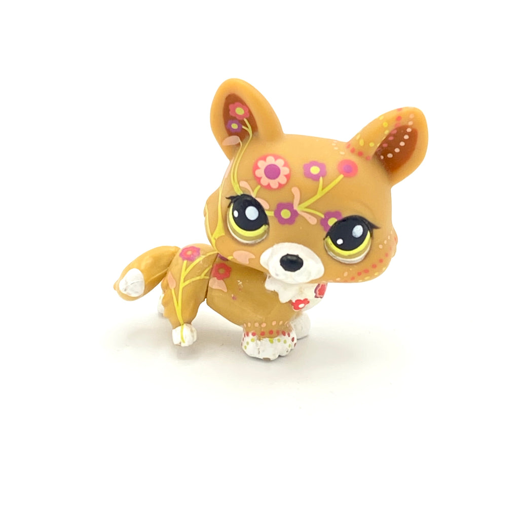 LPS koira corgi #1851