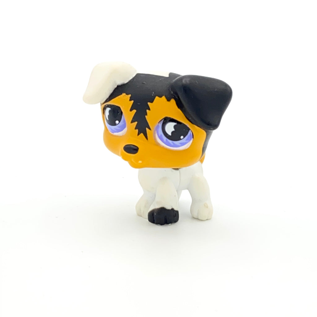 LPS koira Jack Russell #803