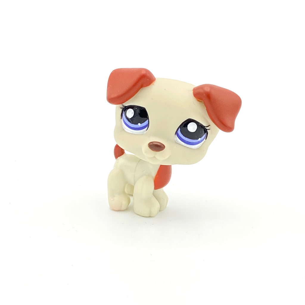 LPS koira Jack Russell #1743