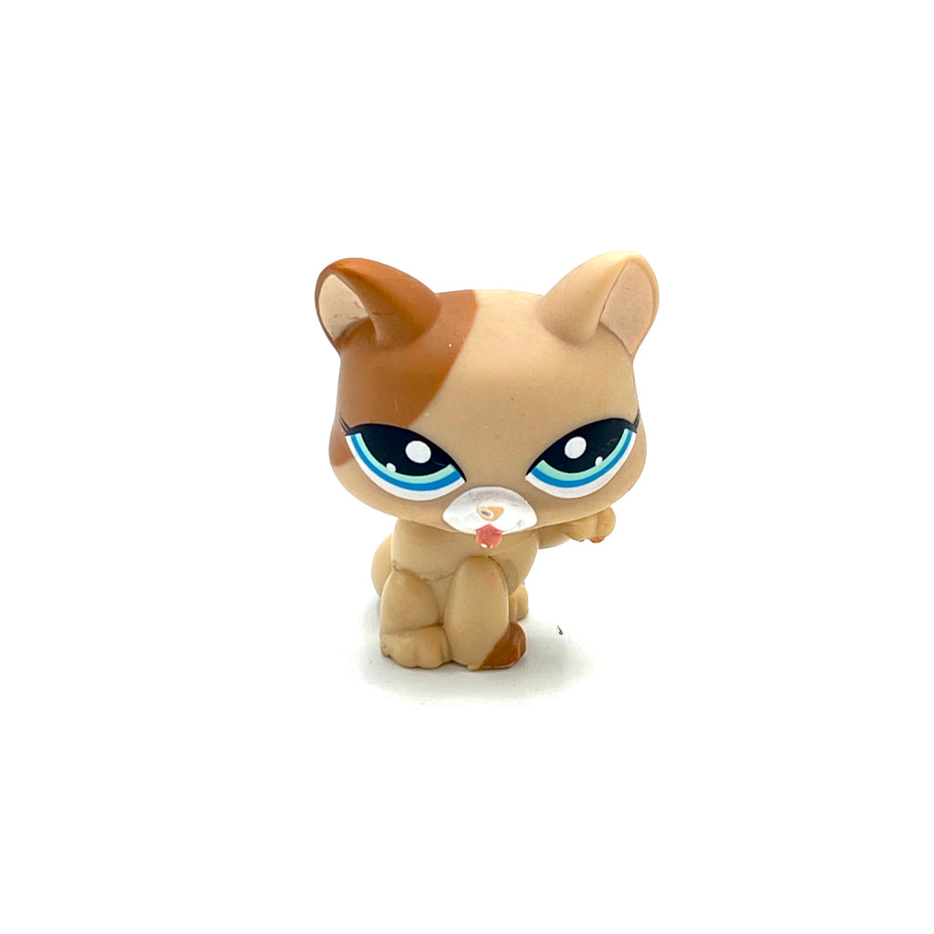 LPS tassua nuoleva kissa #1363