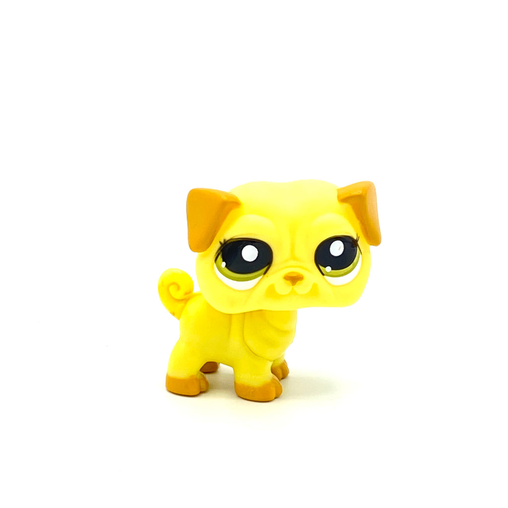 LPS mopsi #2589