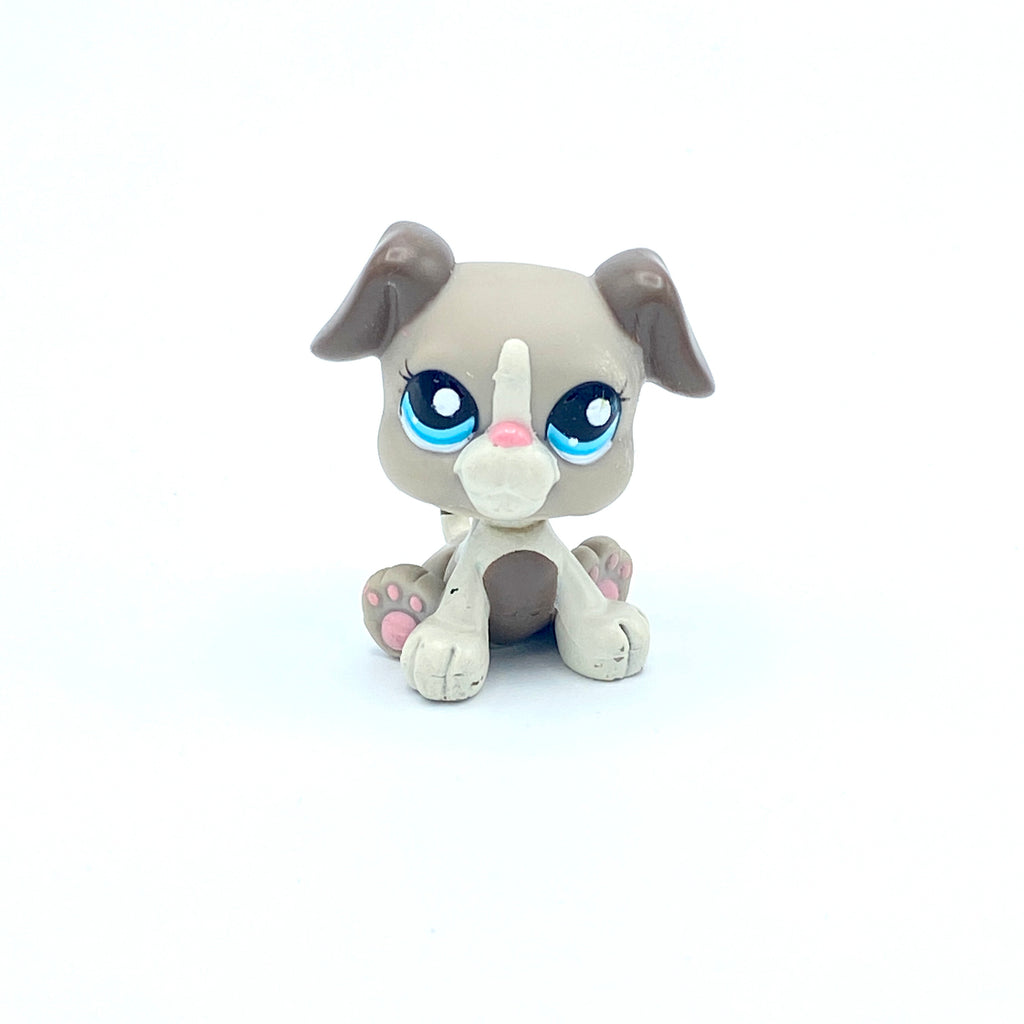 LPS koira bokseri #2038