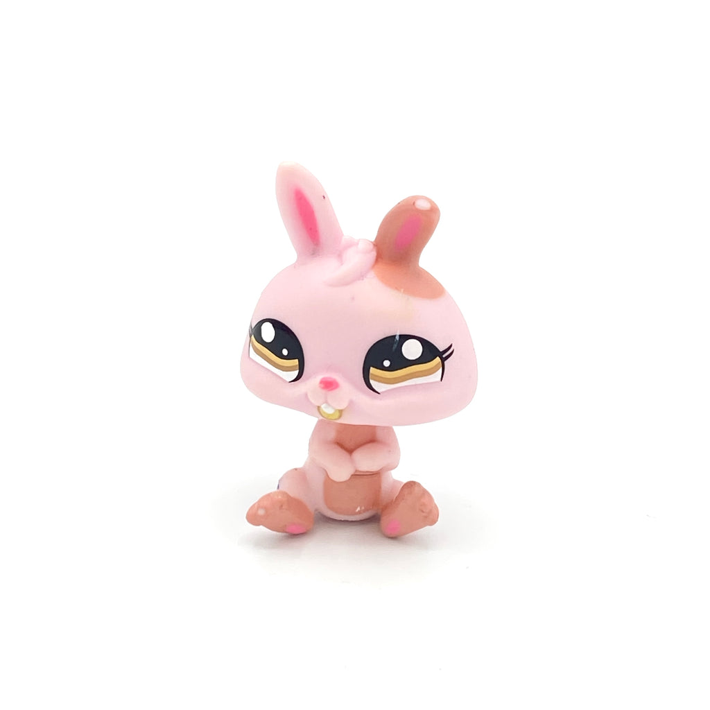 LPS pupu #1366