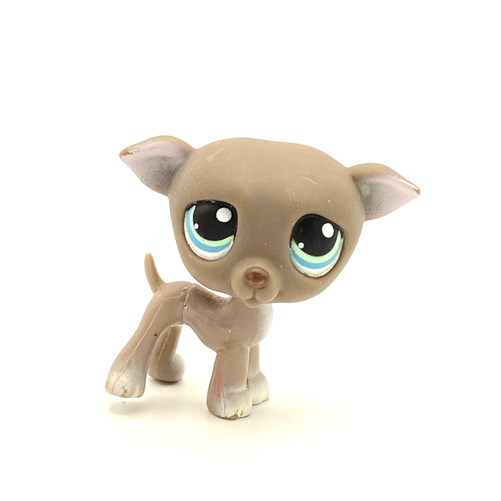 LPS vinttikoira #319
