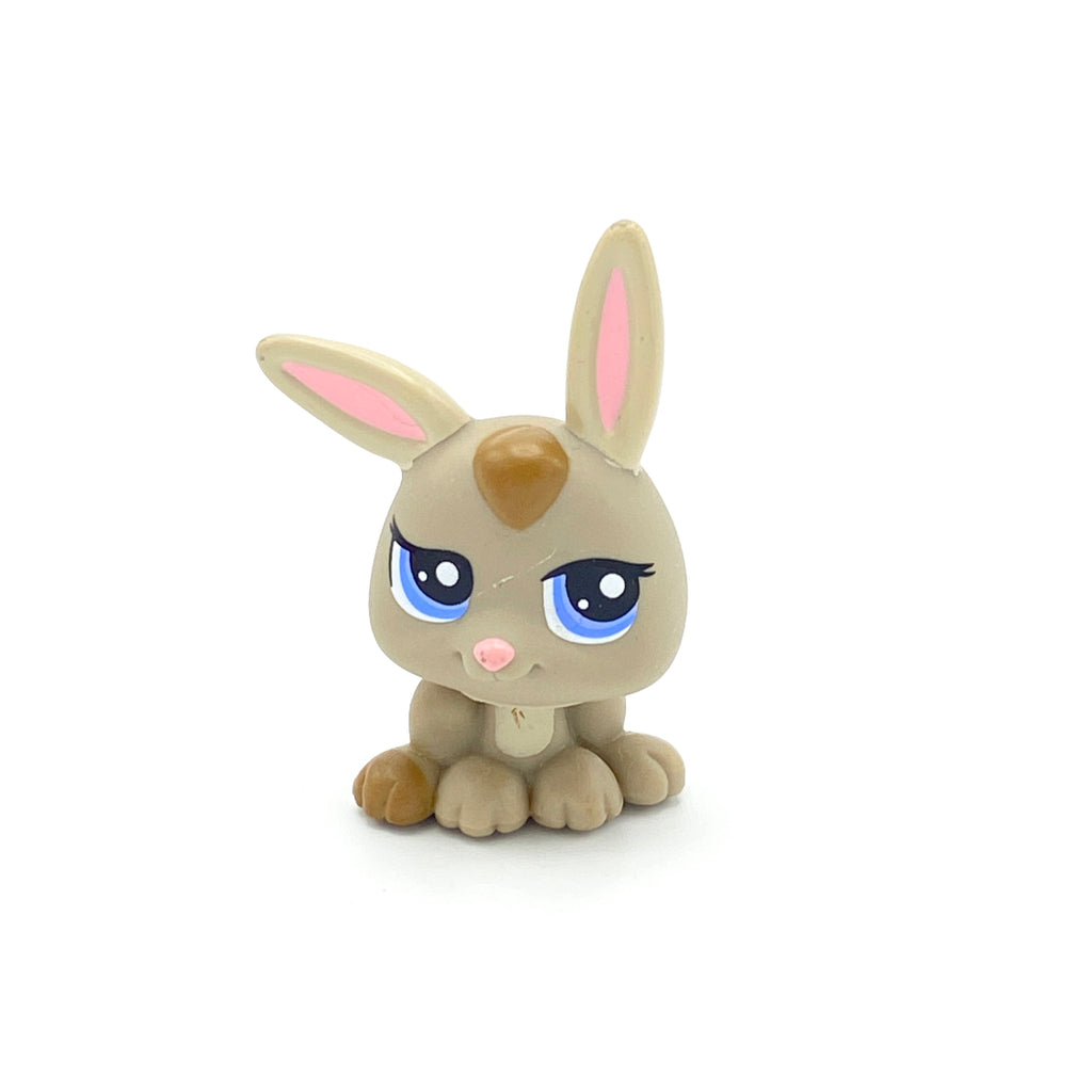 LPS pupu #1333